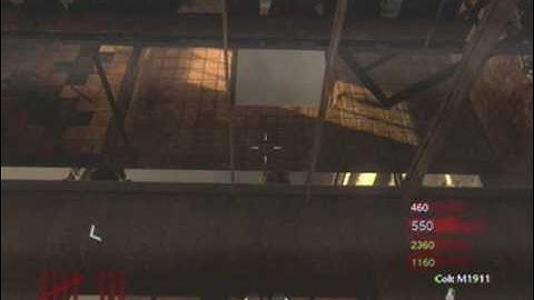 Glitch on New Nazi zombie map Verrückt, Asylum - SECRET ROOM