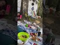 с днём рожденья меня!!!