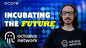 OCTOPUS NETWORK: Incubating Sovereign Chains, OCT Token, NEAR and more