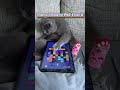 Criança do iPad = isso #blockblast #viral#pets #cat