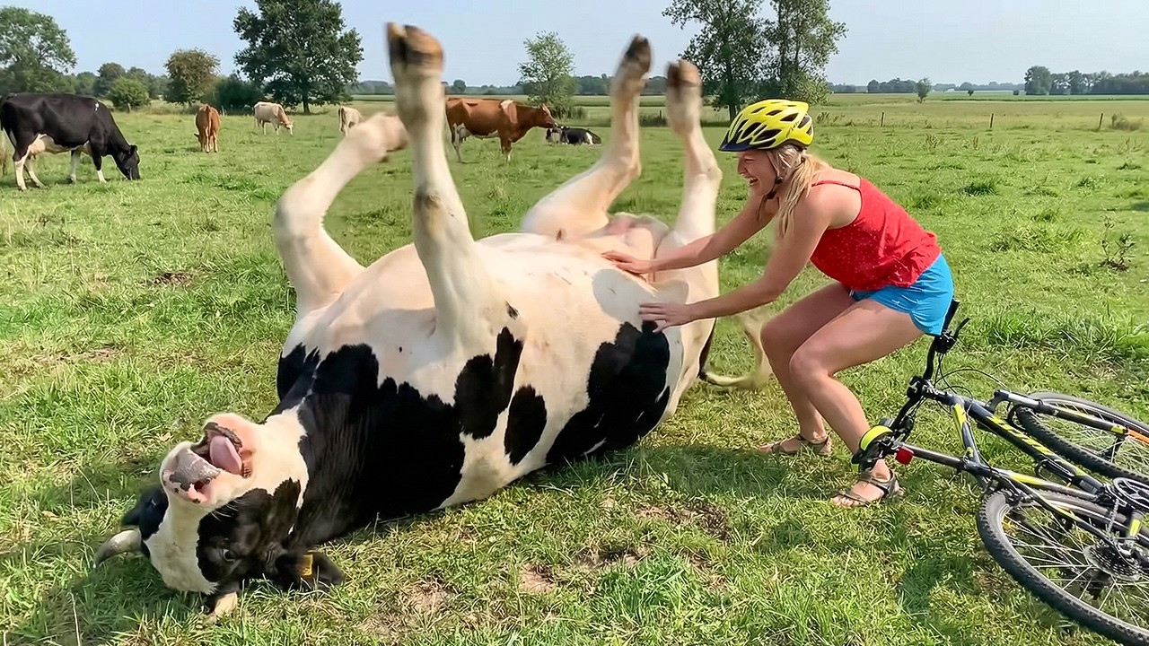 Hilarious Moments with Farm Animals Captured on Film – Video