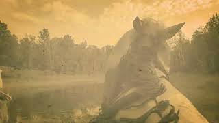 Beating A Dead Horse