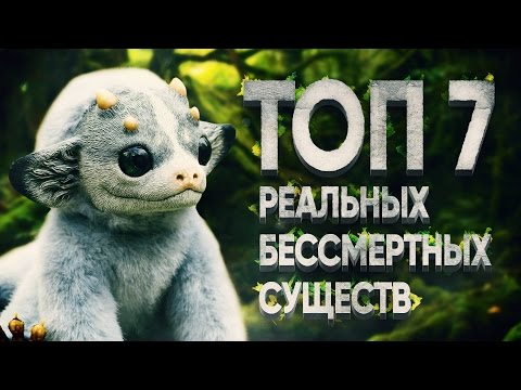 7 БЕССМЕРТНЫХ РЕАЛЬНЫХ СУЩЕСТВ