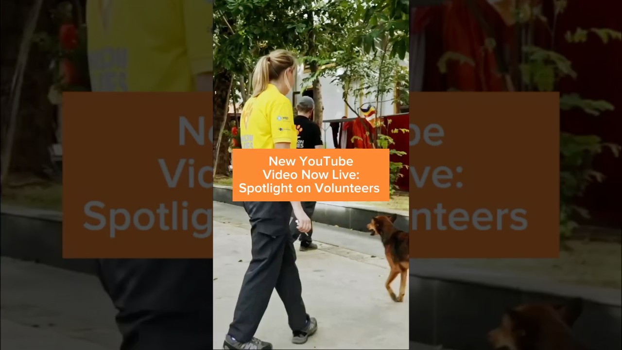 International Volunteer Day 2025: Mission Rabies Cambodia