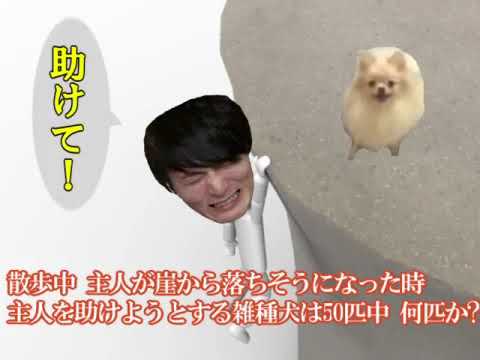 加藤純一が崖から落ちそうになったときハナちゃんは助けてくれるか？【うんこちゃんMAD】