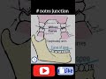# prosthodontics # notes junction