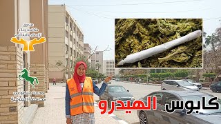 ما لا تعرفهُ عن مخدر الهيدرو - وحدة متطوعي الشرقية