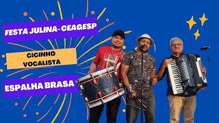 Cicinho Vocalista - Por Causa De Uma Menina I Festa Julina Ceagesp