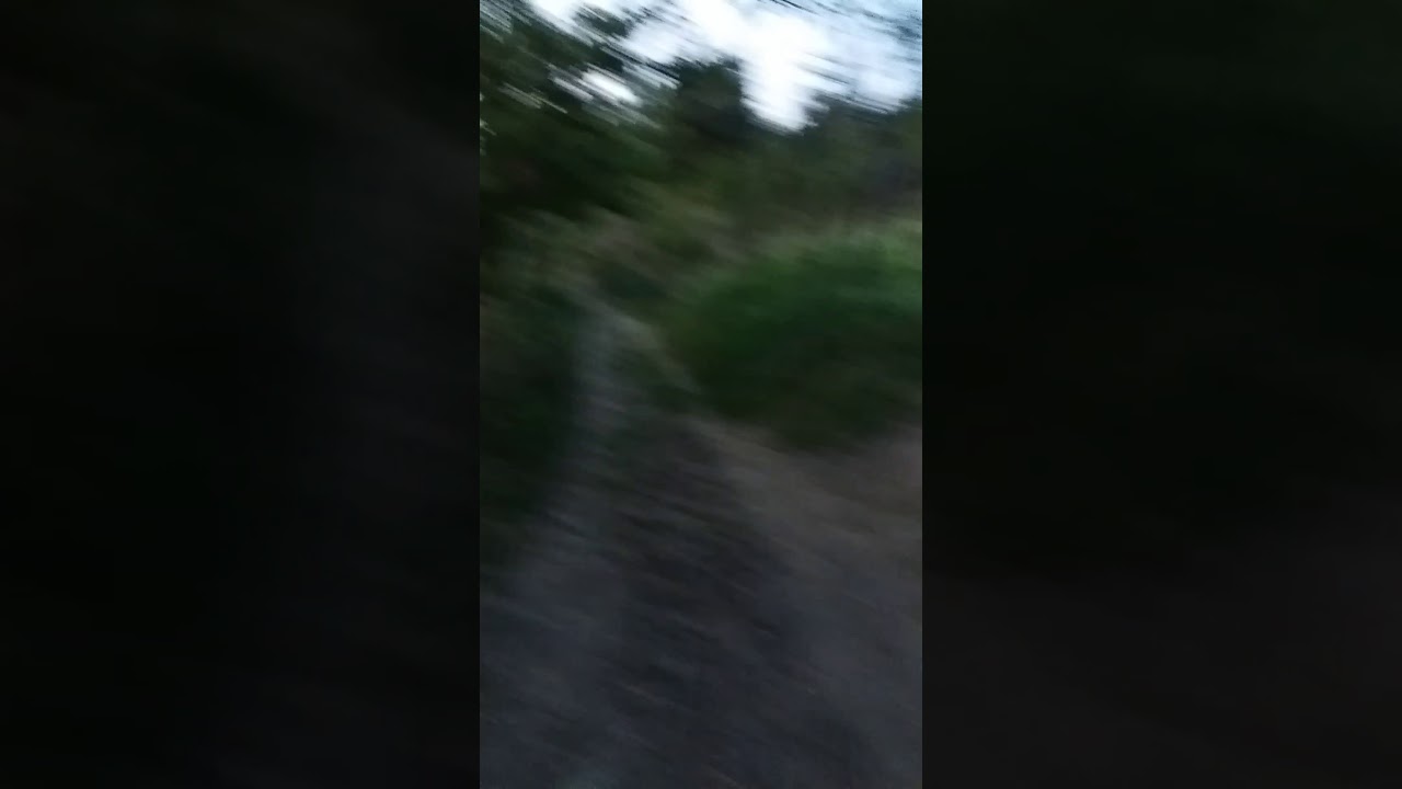 Vine scoala, gata cu prostiile😃