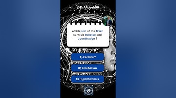 Which part of the brain controls balance and coordination ?