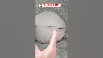 Fossil Crab in Very Large Concretion!!!