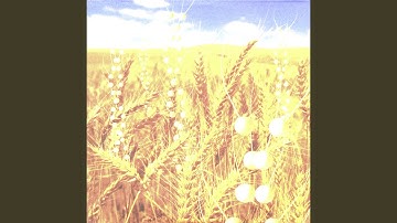 δp.δq ≥ h⁄4π "L