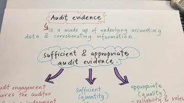 Audit Planning & Fieldwork (AUD339)