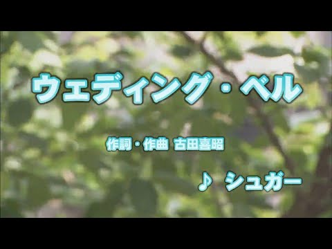 カラオケJOYSOUND (カバー) ウェディング・ベル / シュガー  （原曲key） 歌ってみた