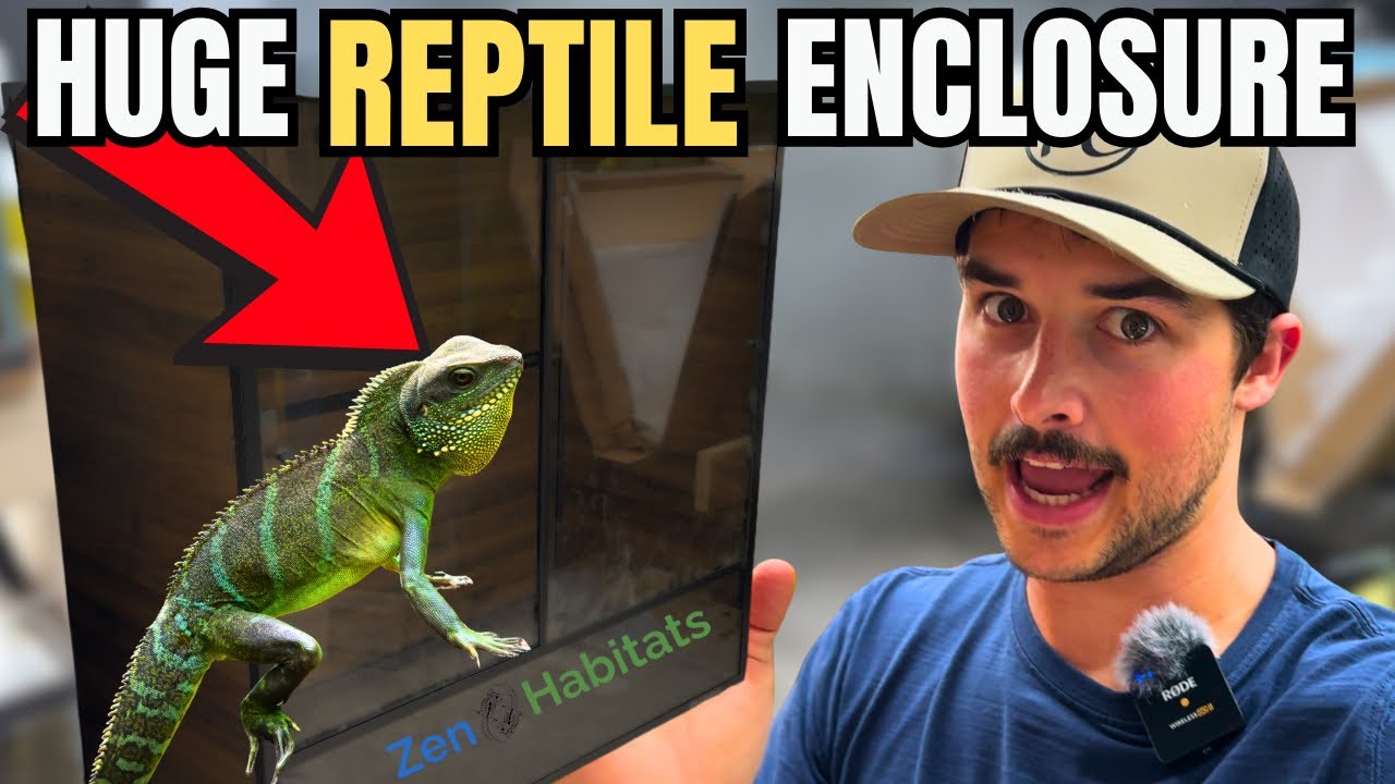 This MASSIVE Enclosure Showed Up at My Door: Zen Habitat