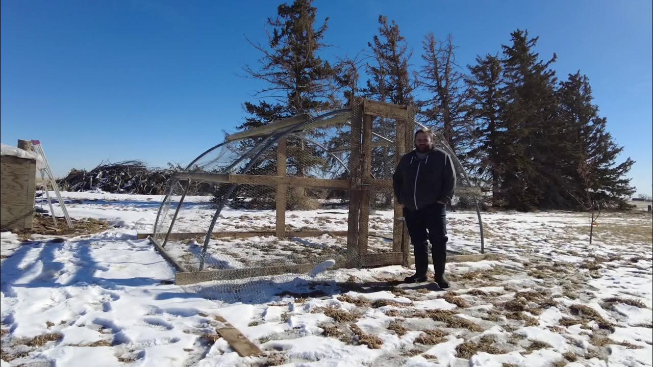 Trampoline Frame Chicken Run/Coop YouTube