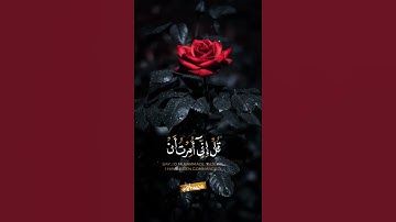 ارح قلبك😴❤️//تلاوه هادئه جميله جدا😴❤️//حالات  واتس اب قرآنيه😴❤️//ستوريات انستا قرآنيه قصيره