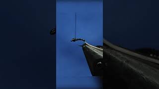 The Ghost Midge! A great winter fly that the fish can't resist.