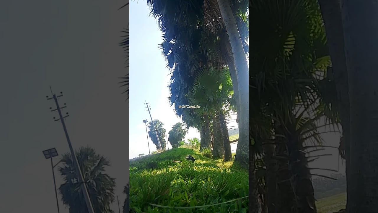 Nature breaths softly in the wind  Calm lives quietly beneath the trees. #OffCamLife #naturelovers