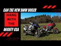 BMW 1250GSA vs. BMW 900XR | And the "Comments" Questions Answered from the "Why" video