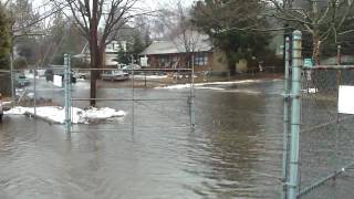 Puddle Jumping 2