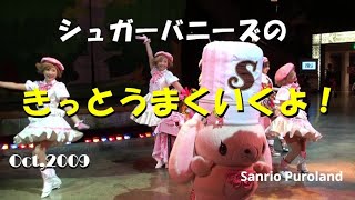 HDV】【シュガーバニーズのきっとうまくいくよ！】 2009年10月6