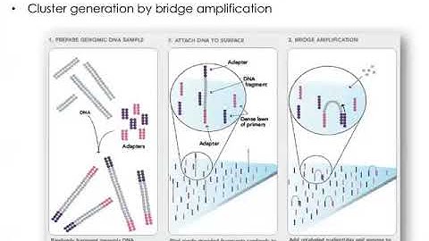 IU-G788, Next Generation Sequencing, 2017, Lecture 01, Part 2