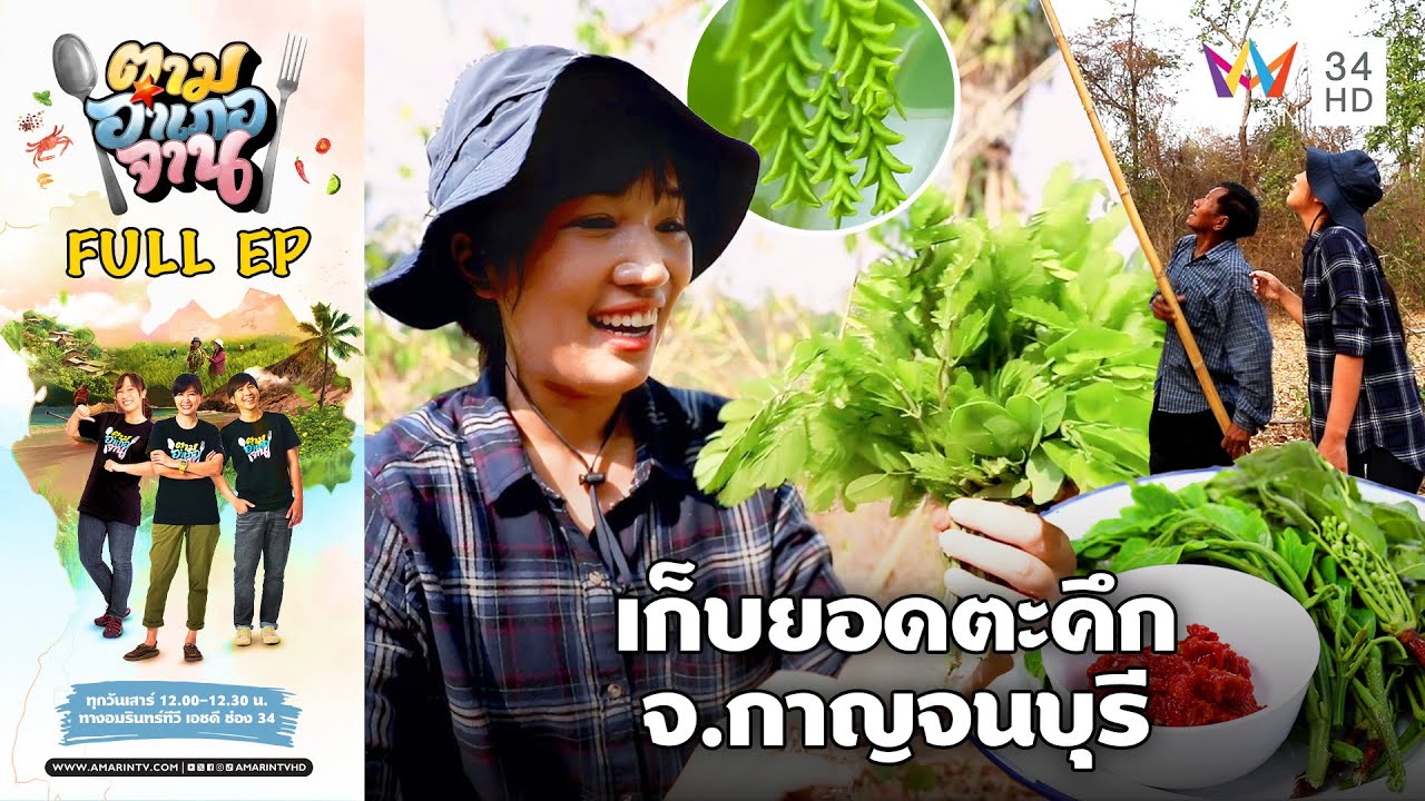 [ENG-SUB] เข้าป่าหน้าแล้งเก็บยอดตะคึก อ.พนมทวน จ.กาญจนบุรี | ตามอำเภอจาน | 23 มี.ค.67 Full EP