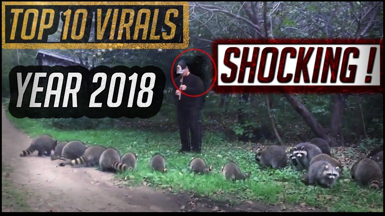 Top 10 Viral Videos of the Year 2018 SHOCKING - YouTube