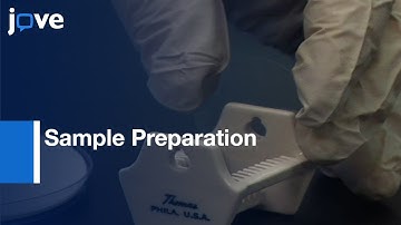 Single Virion Atomic Force Microscopy & Super-Resolution Fluorescence Imaging l Protocol Preview