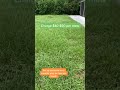 Start a lawn mowing business  hack finance series