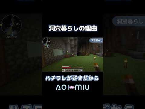 ハチワレが好きだから