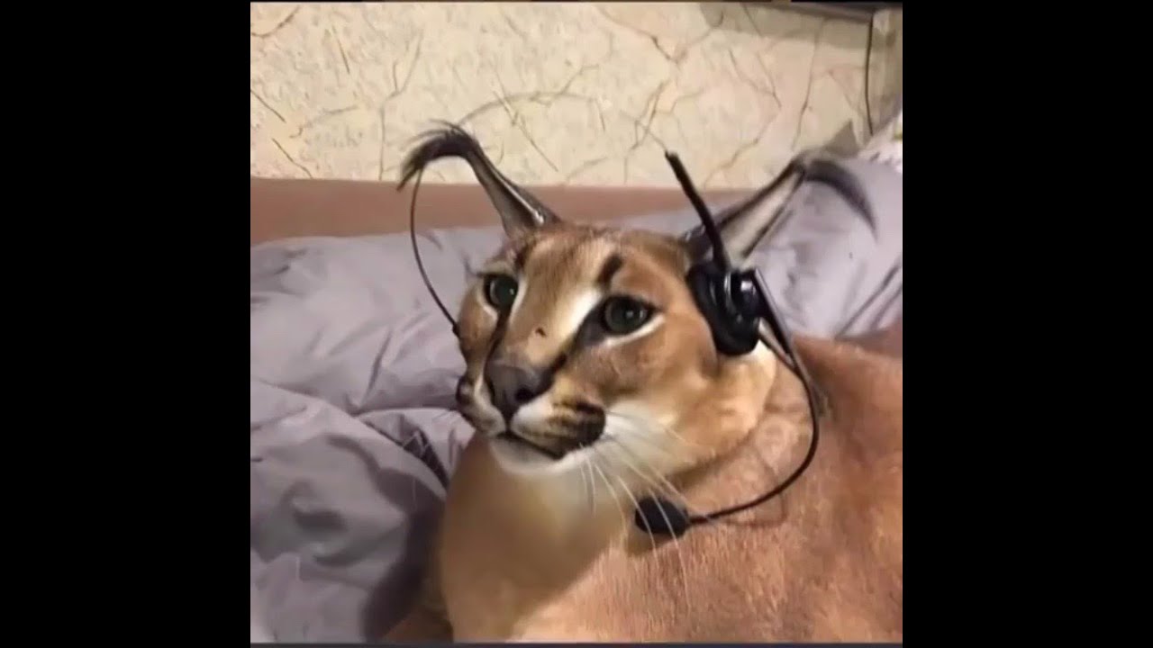 Dont Escape 3 Good Ending YouTube dont-escape-3-good-ending-youtube