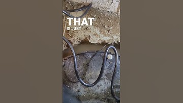 Battery Back Up Sump Pump