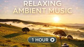Relaxing Ambient Music 1 Hour | 432Hz Study Music &amp; Deep Sleep Meditation