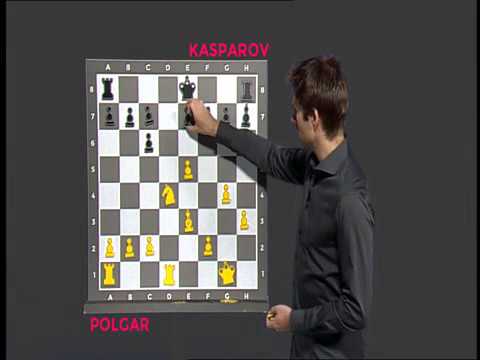 Chess Grandmasters Garry Kasparov Judit Polgar redaktionelt stock