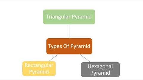 Class 8, Mathematics, Ch-10, Lecture-5 (Visualising Solid Shapes)