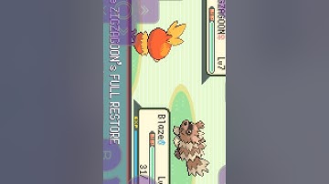 Pokemon Emerald Walkthrough Part 2: Getting to Rustboro City