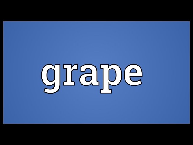 grapevine - Wiktionary, the free dictionary