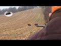 Driven wild boar hunting fever in November 2021! 4K