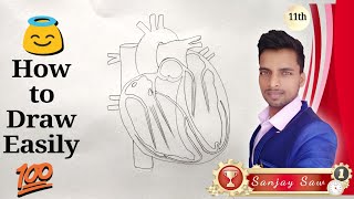 How to draw Human Heart step by step for beginners | Fine Arts Guruji