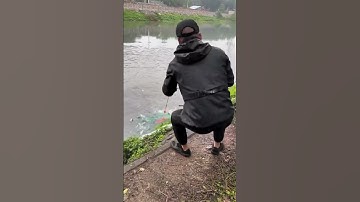 #fyp #net #fishing #fish #netfish #fisherman #fishinglife #video