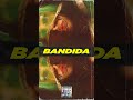 BANDIDA 🌹 - Buy License & Grow Your Music 🎶