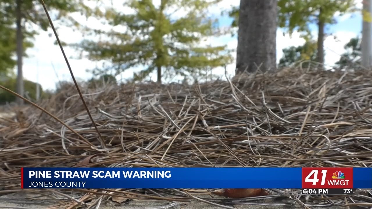 Pine straw scam warning YouTube