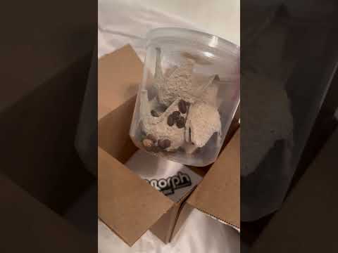 Dubiaroaches.com Unboxing! #dubiaroaches