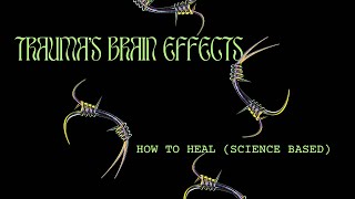 Trauma’s Brain Effects—And How To Heal (Science-Based)