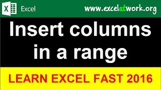 Insert columns in a range - Learn Excel Fast - Excel 2016