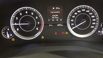 Biggest Injector Problem in New Creta 2021 | Think before Buying