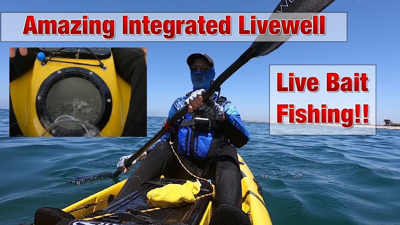 Fishing Live Bait from my New Stealth Fisha 555!