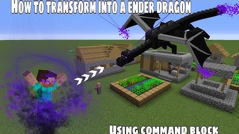 MINECRAFT | How to transform into an ender dragon using command block.